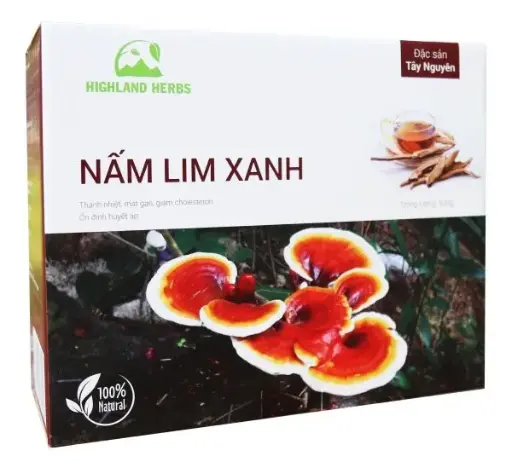 Nấm Lim Xanh 