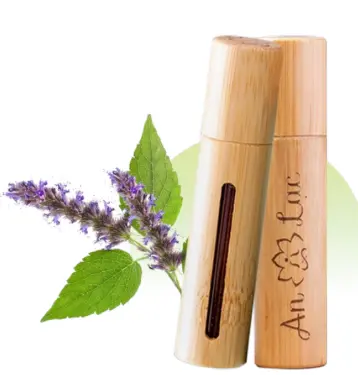 Tinh dầu vỏ tre Hoắc Hương