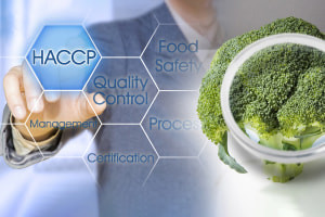 Hệ thống An toàn Thực phẩm HACCP cho Nhà hàng và Dịch vụ Ăn uống